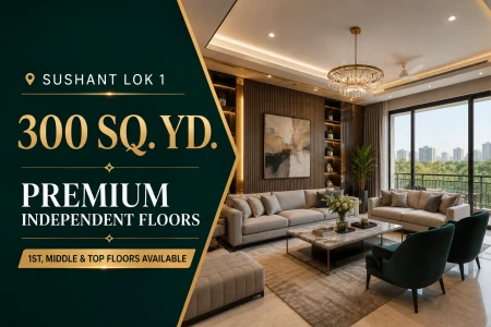 Premium 300 Sq. Yd. Independent Floors in Sushant Lok 1 | Multiple Floors Available